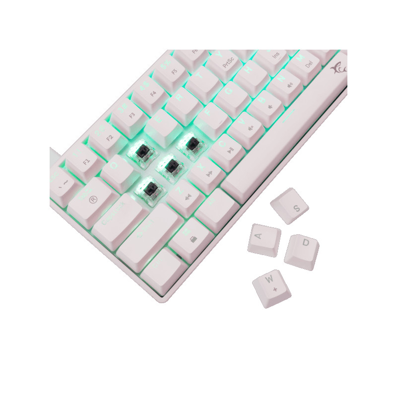 Tastatura White Shark GK-004231 SHINOBI-2 Bijela Brown.Sw