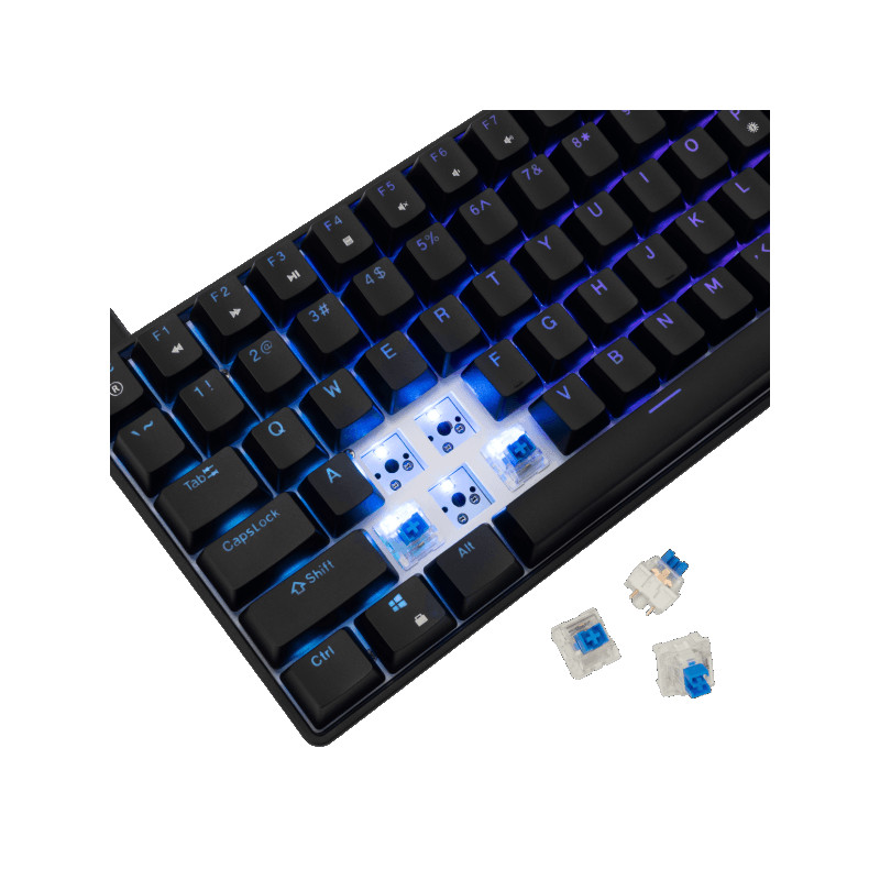 Tastatura White Shark GK-005121 HAMACHI RGB / Blue.Sw