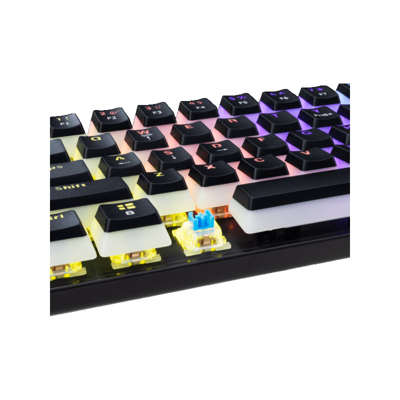 Tastatura White Shark GK-2202 ASHIKO-2 Crna / Blue Sw
