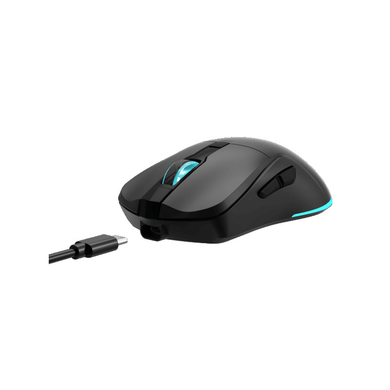Wireless BARACUDA MIS BGM-121 TURTLE Crni