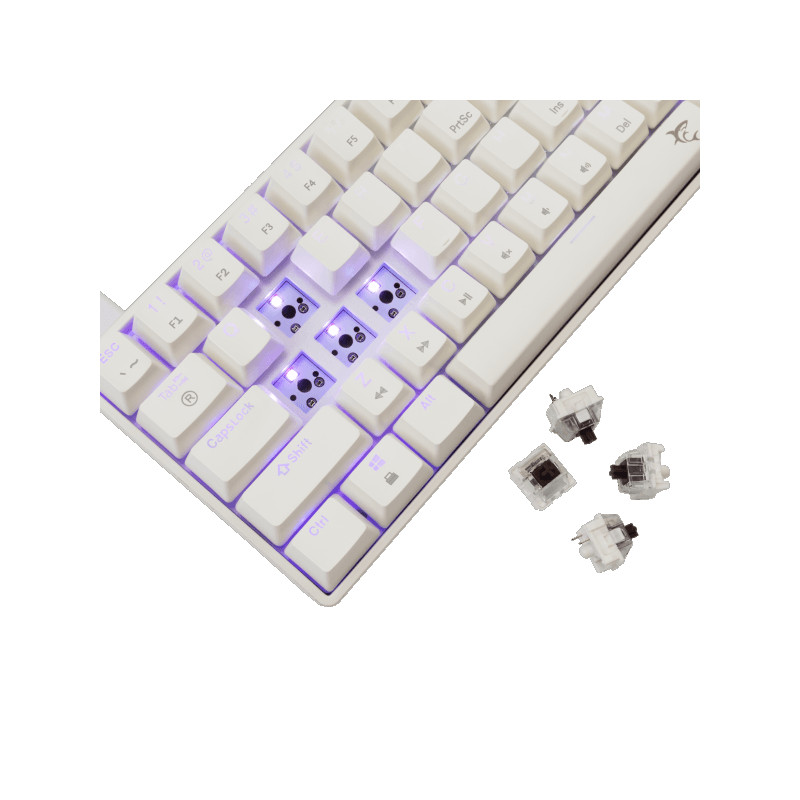 Tastatura White Shark GK-004231 SHINOBI-2 Bijela Brown.Sw