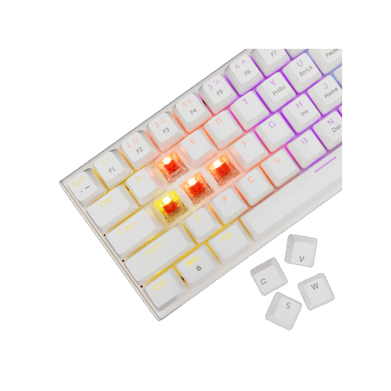 Tastatura White Shark GK-002211V2 WAKIZASHI-2 Bijela Red.Sw