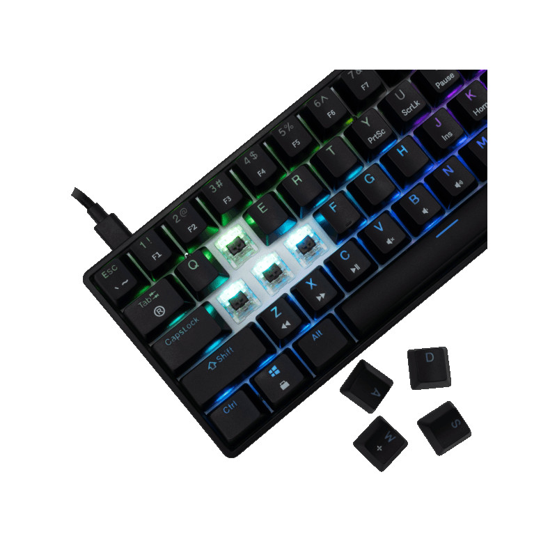 MEHANICKA Tastatura White Shark GK-004131 SHINOBI-2 Crna Brown.Sw