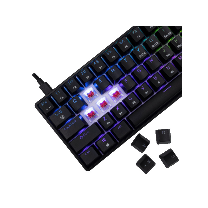 Tastatura White Shark GK-004111 SHINOBI-2 Crna Red.Sw
