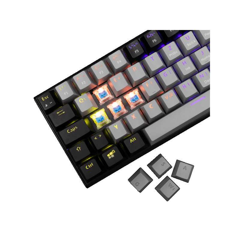 Tastatura White Shark GK-002722V2 WAKIZASHI-2 Sivo-crna Blue.Sw