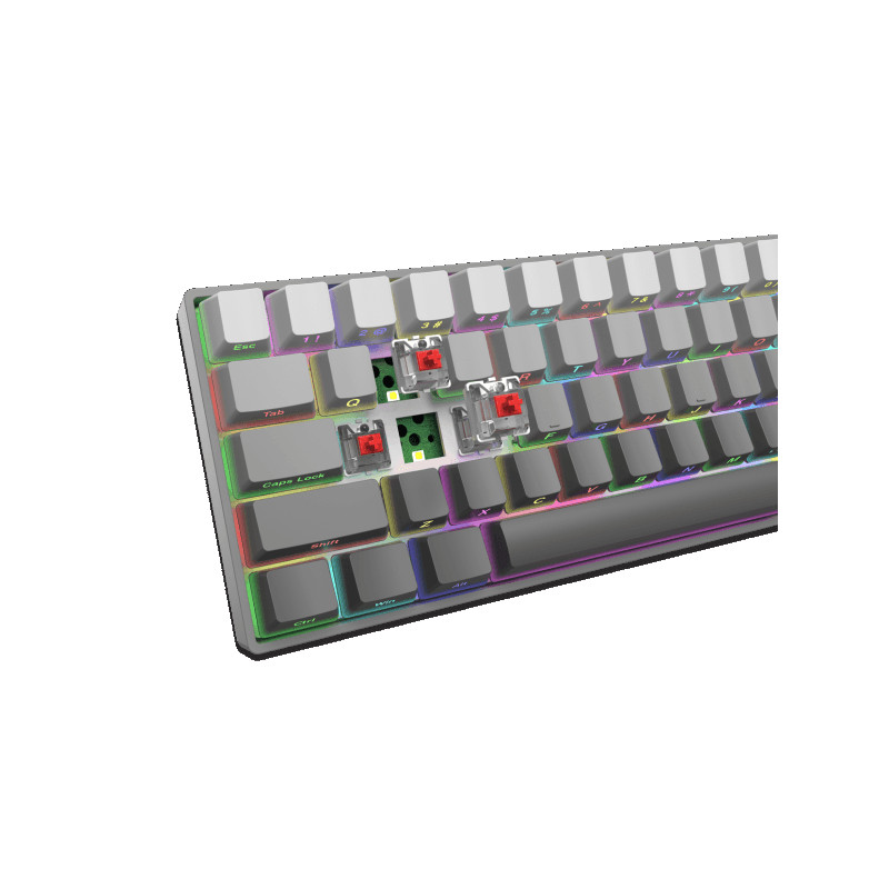 Tastatura White Shark GK-007711 NUNCHAKU Siva Gradient Red SW