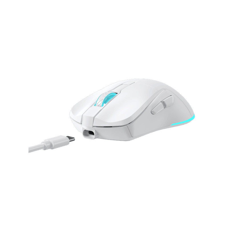 Wireless BARACUDA MIS BGM-122 TURTLE Bijeli