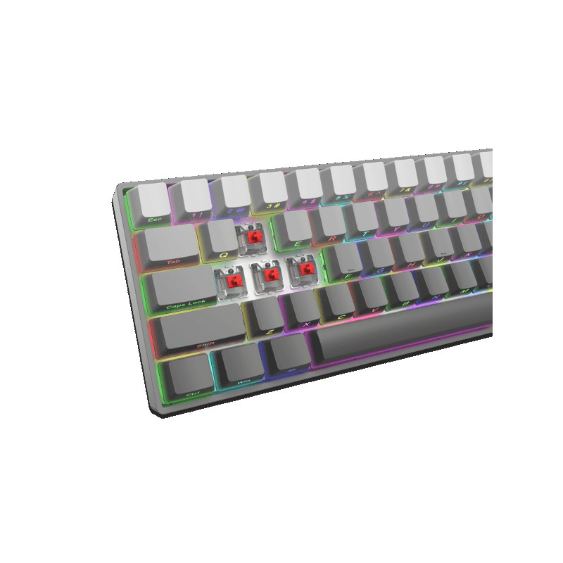 Tastatura White Shark GK-007711 NUNCHAKU Siva Gradient Red SW