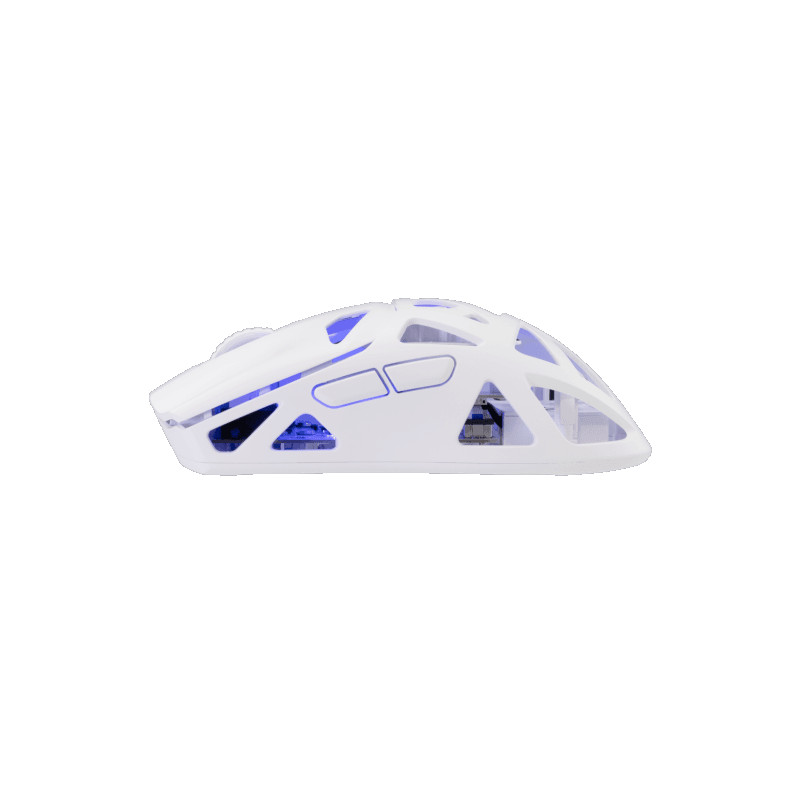 WIRELESS MIS White Shark WGM-5019 DAGONET 24.000dpi Bijeli