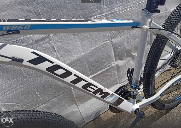 BICIKLO TOTEM ALUMINIUM W860-MTB 29-19