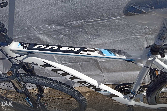 BICIKLO TOTEM ALUMINIUM W860-MTB 29-19