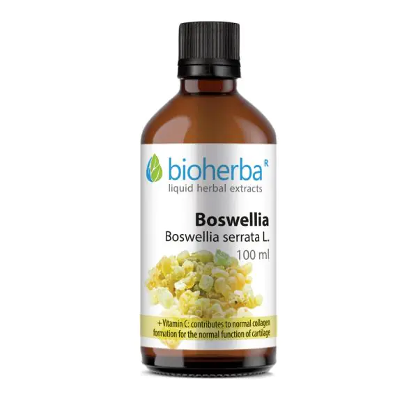 BH Boswellia 100ml - za bolove u zglobovima i kostima