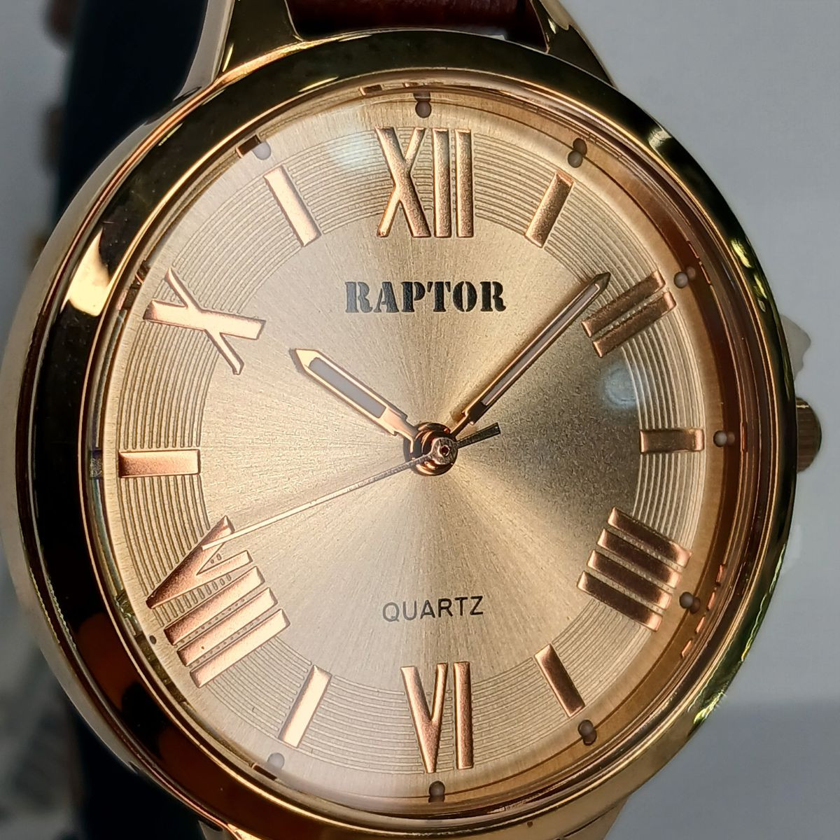 RAPTOR SAT  100000-8