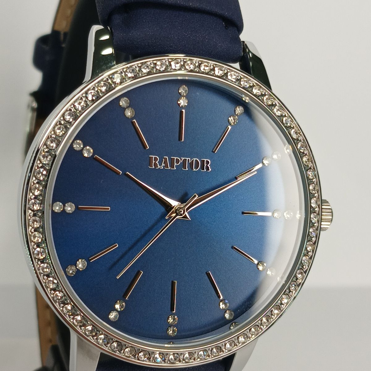 RAPTOR SAT RA10176-002