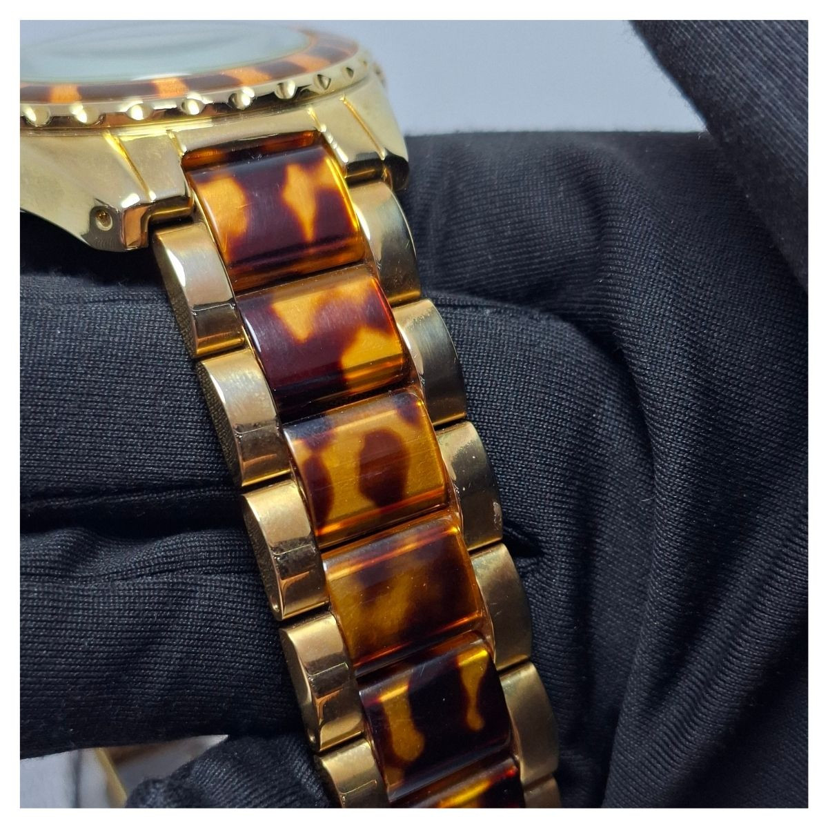 RAPTOR SAT 1977-10
