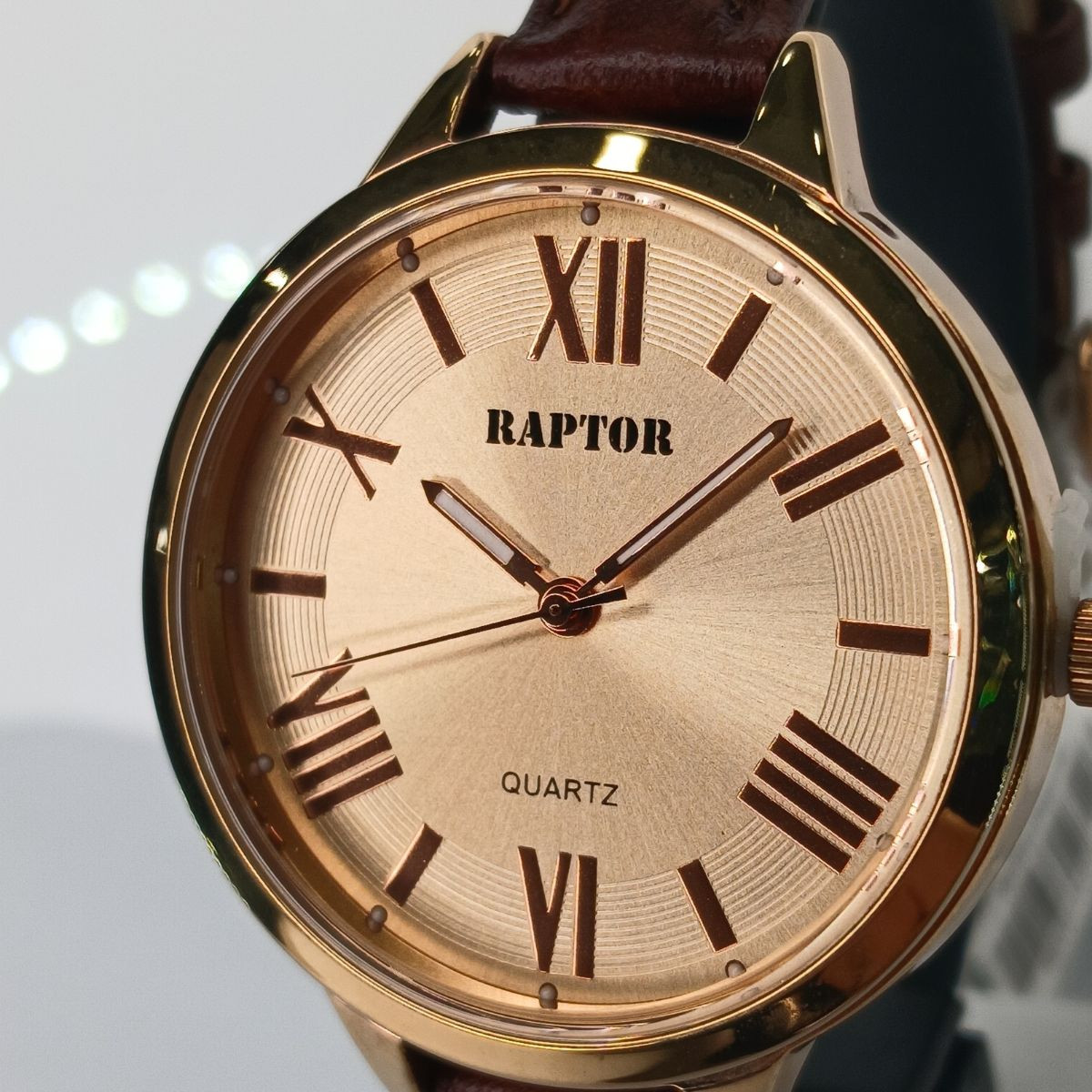 RAPTOR SAT  100000-8