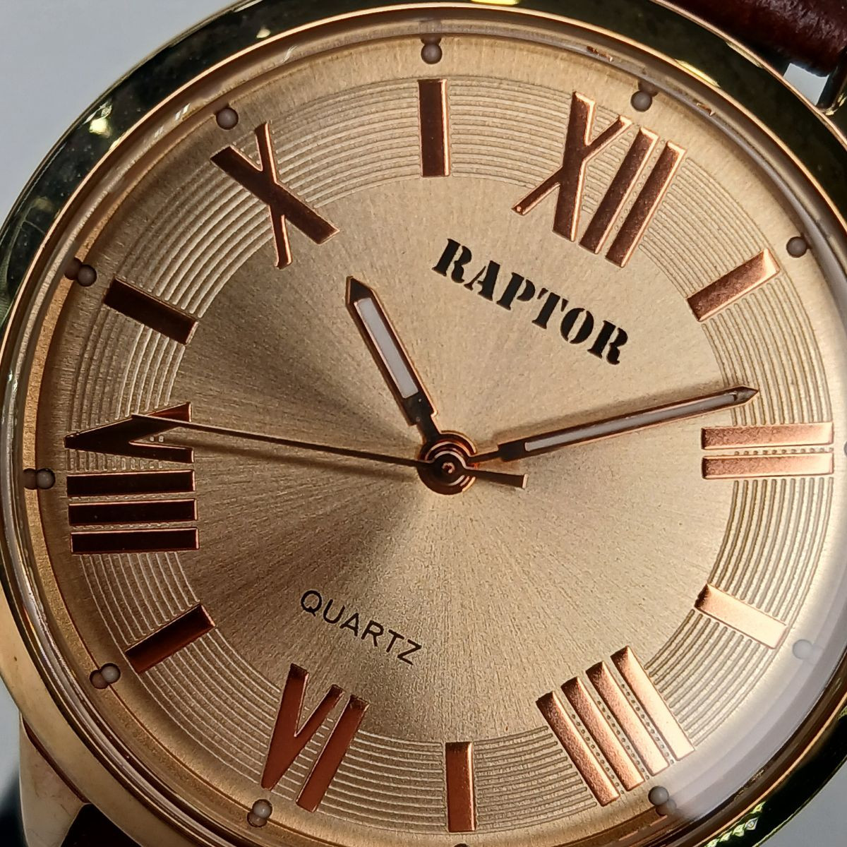 RAPTOR SAT  100000-8