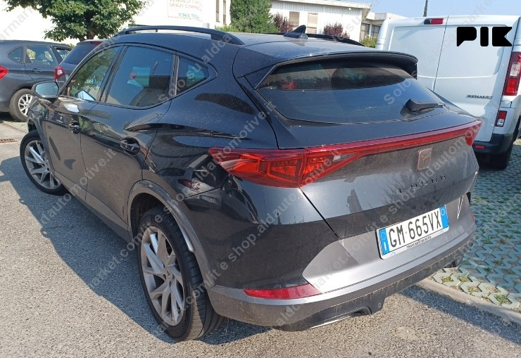 Cupra Formentor 2023 2.0 TDI DSG 4DRIVE