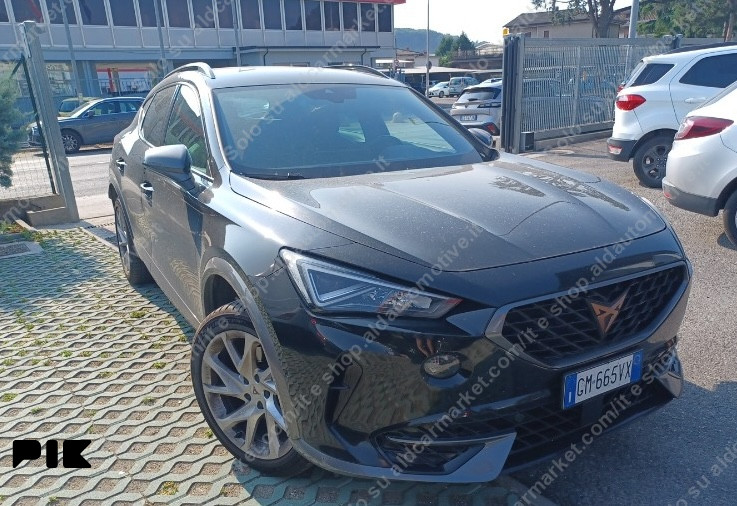 Cupra Formentor 2023 2.0 TDI DSG 4DRIVE