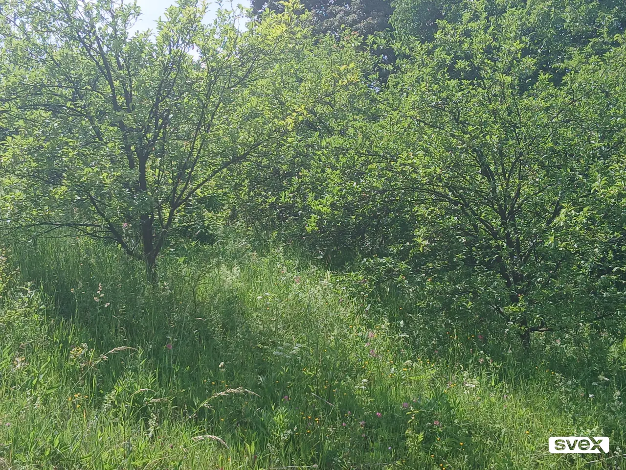 Prodajem zemlju centar Tuzle